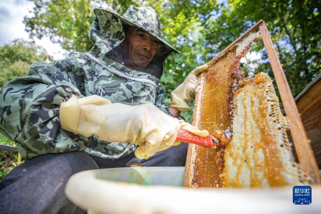 新濠在线网址